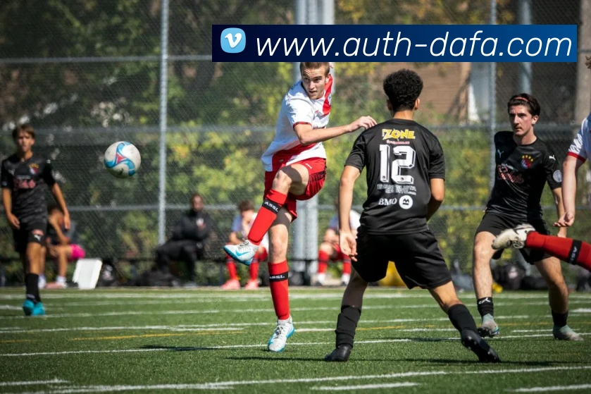 大发彩票平台生态图